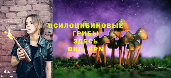 мяу мяу кристалл Магас